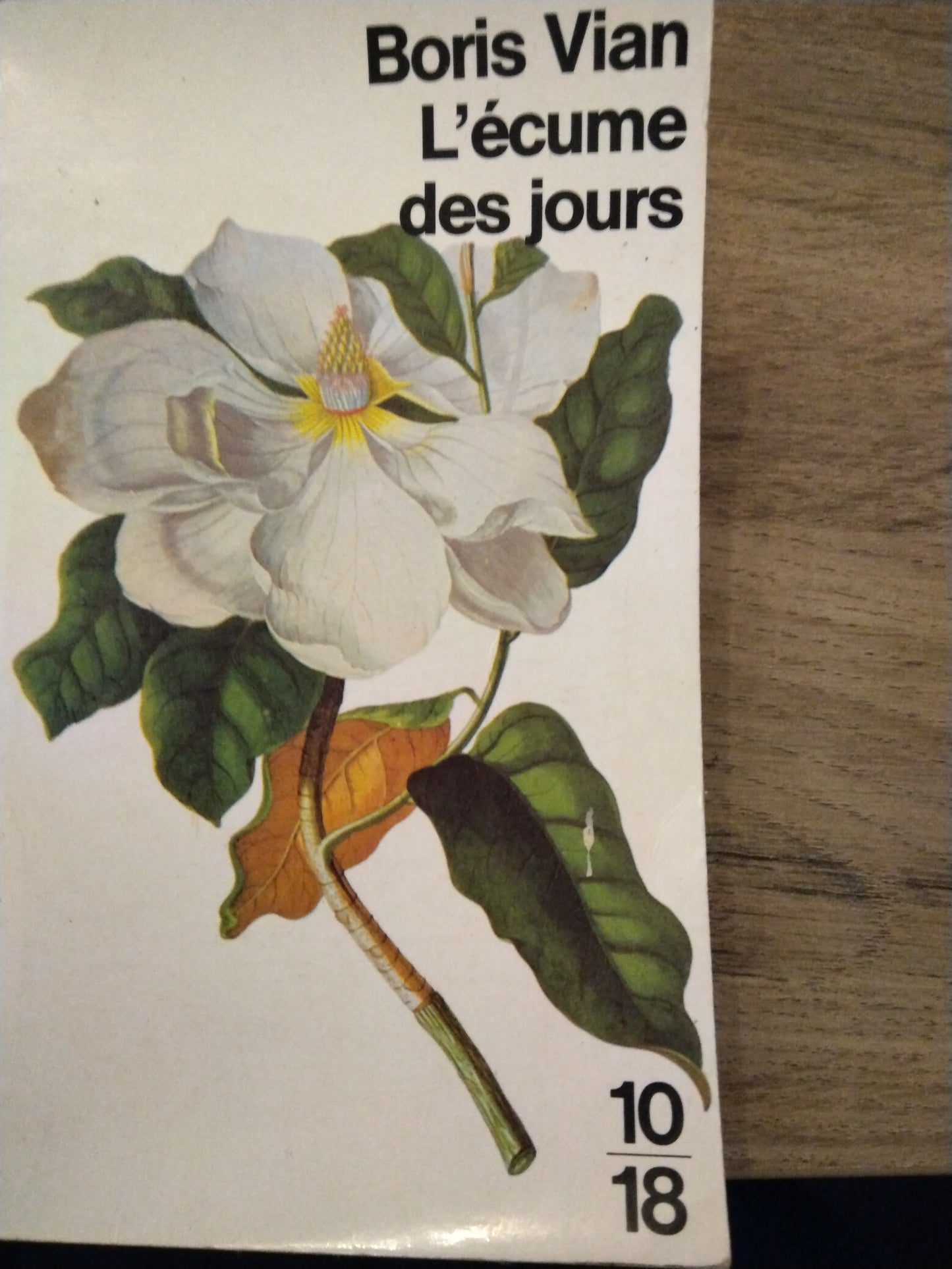 l'écume des jours