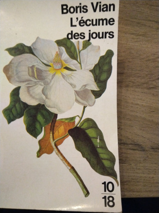 l'écume des jours