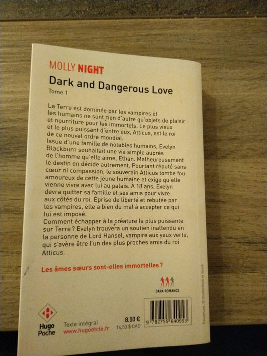 Dark and Dangerous tome 1